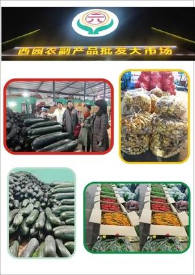 探索农贸新路径 湖南省女企业家协会会长周志梅一行考察衡阳西园农副产品批发大市场